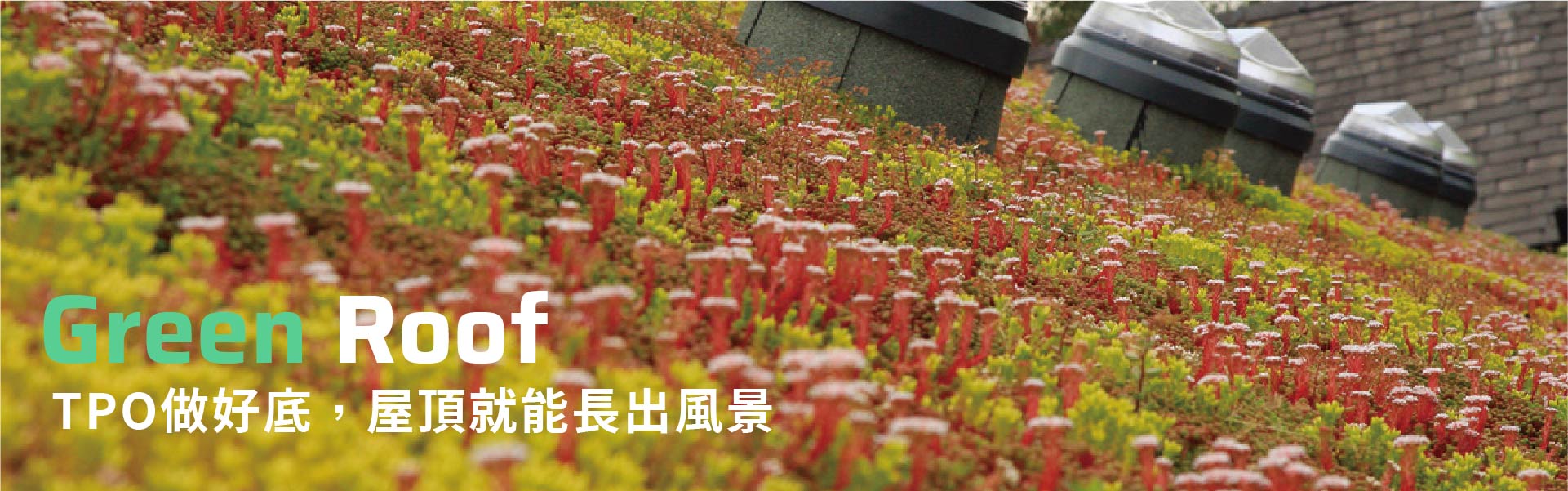 TPO做好底,屋頂就能長出風景|以BMI_TPO防水系統為基底打造空中花園