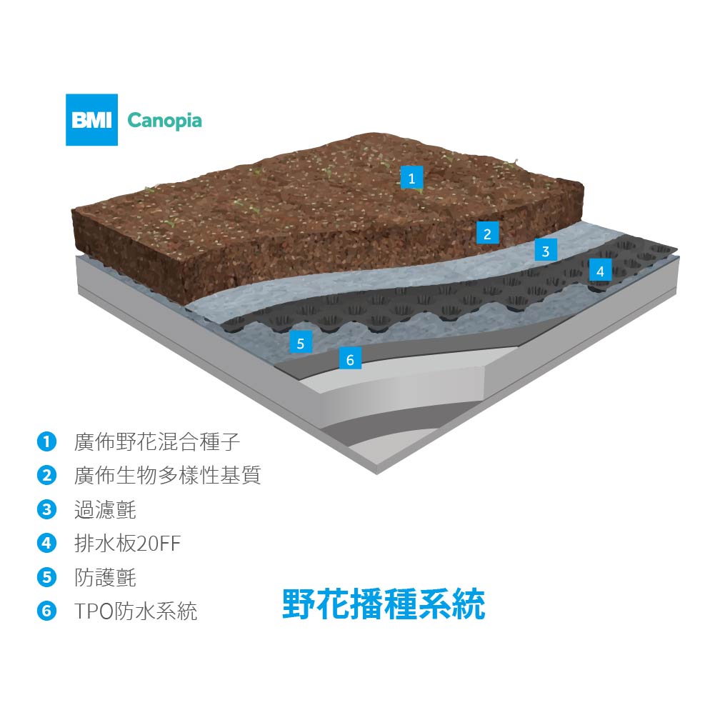 BMI_綠屋頂系統Green Roof 4|以BMI_TPO防水系統為基底打造空中花園