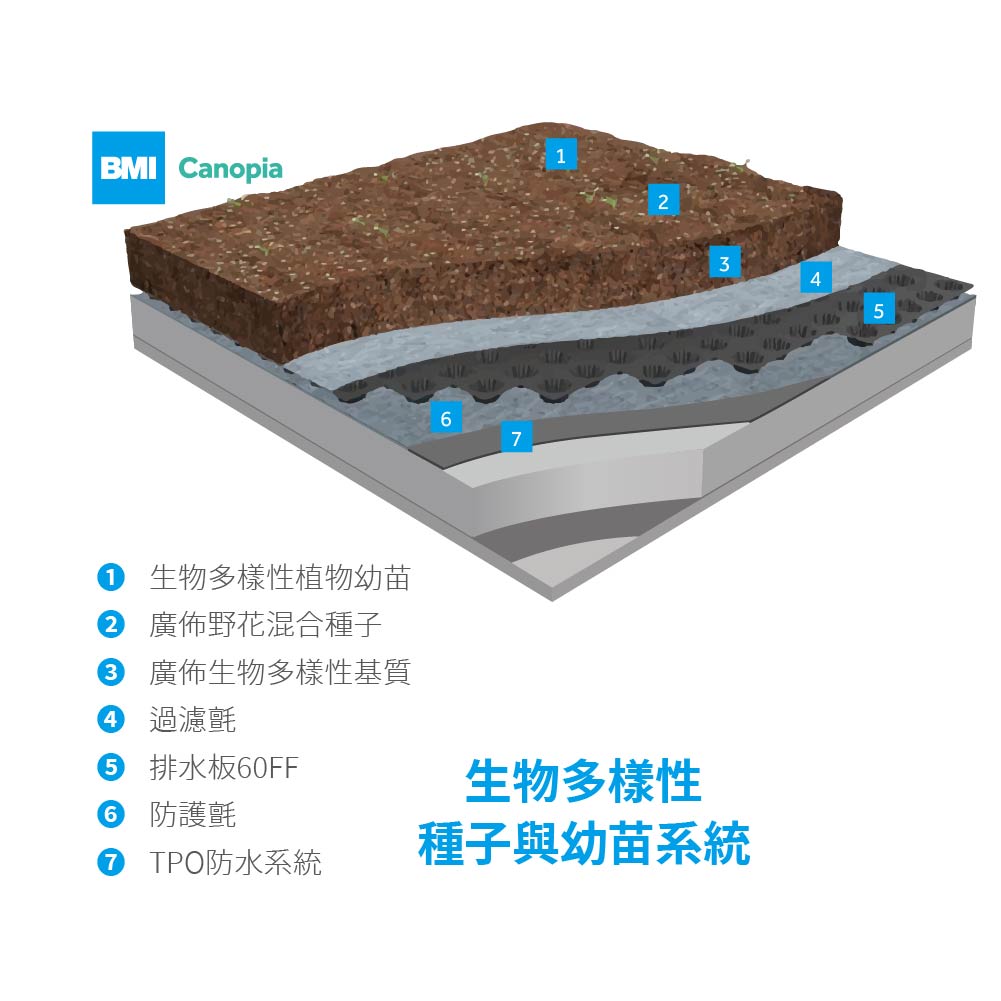 BMI_綠屋頂系統Green Roof 5|以BMI_TPO防水系統為基底打造空中花園