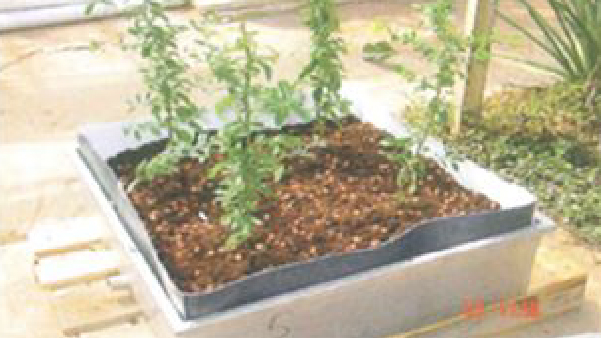 SKZ認證與檢測中心抗根莖穿透認證_抗根莖穿透測試_BMI_TPO防水卷材_1