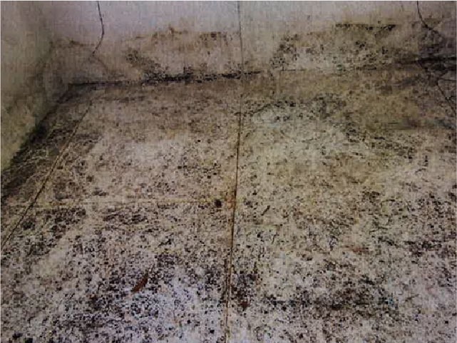 SKZ認證與檢測中心抗根莖穿透認證_抗根莖穿透測試_BMI_TPO防水卷材_3