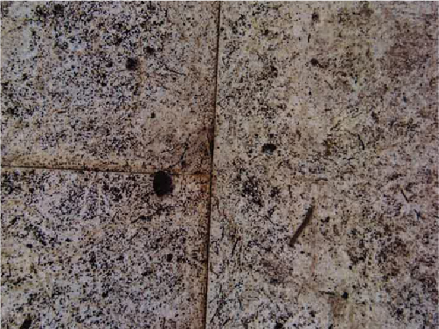 SKZ認證與檢測中心抗根莖穿透認證_抗根莖穿透測試_BMI_TPO防水卷材_4