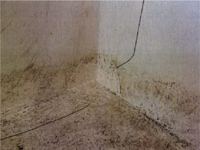 SKZ認證與檢測中心抗根莖穿透認證_抗根莖穿透測試_BMI_TPO防水卷材_5