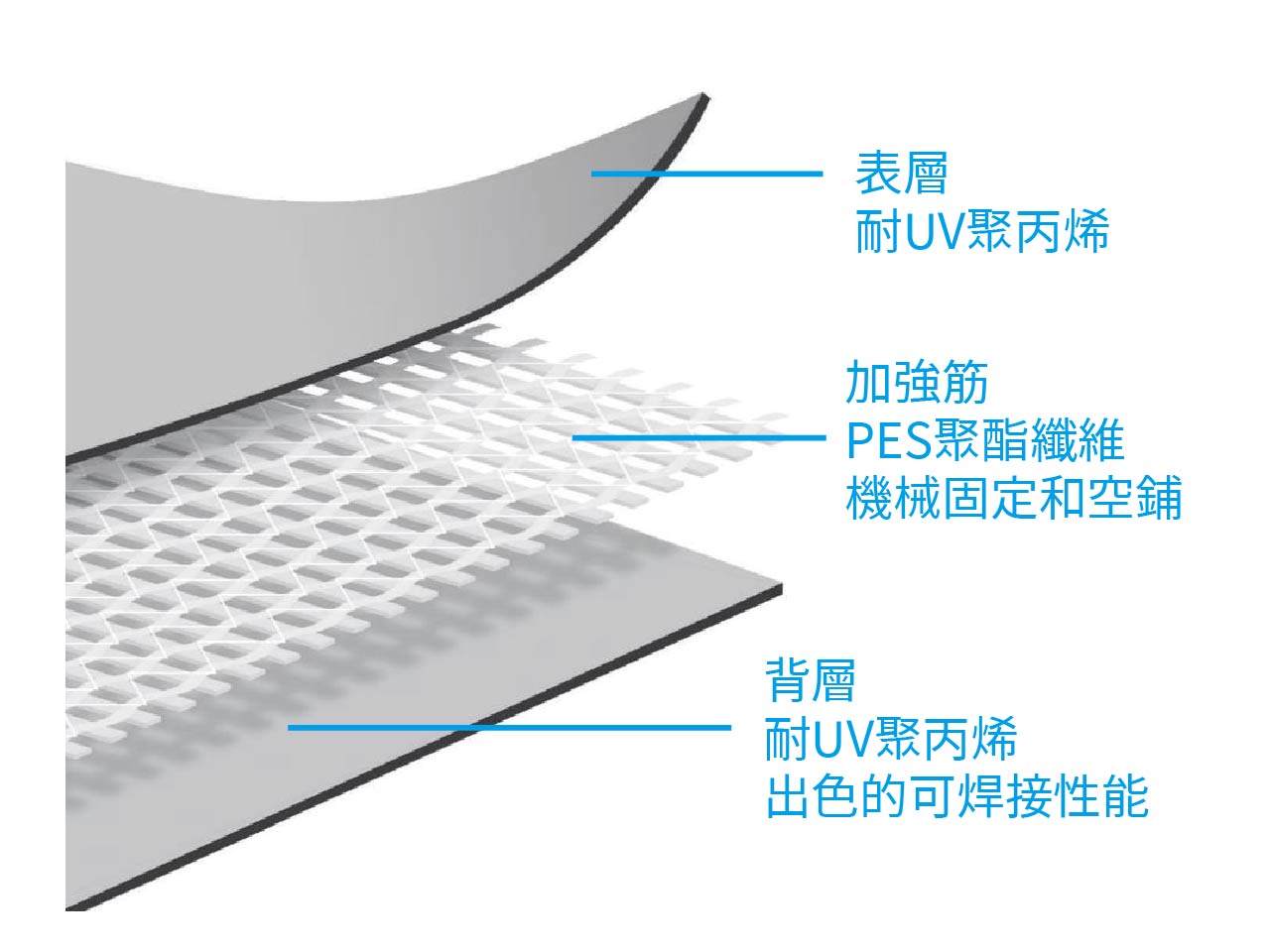 BMI_TPO加強筋｜東億國際建材